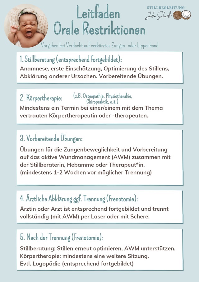 Leitfaden Zugenband / orale Restriktionen